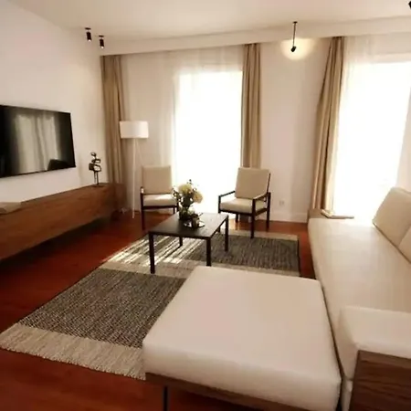 Timeless Ambassador -belém *